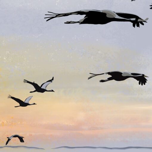 Dibujo “Llibertat”. Imagen destacada de la entrada del blog de Eugènia Carrasco, escritora y dibujante